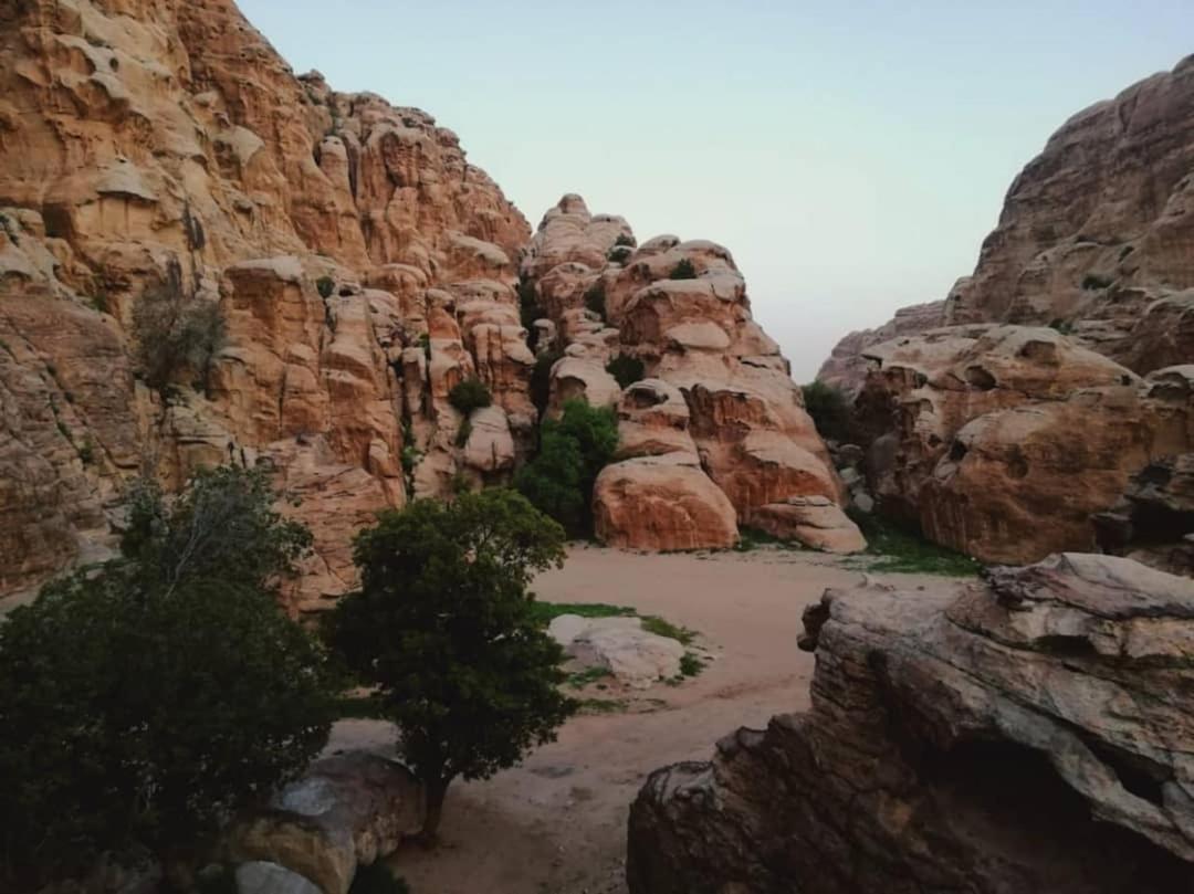 Euphoria Guest House Wadi Musa Exterior photo